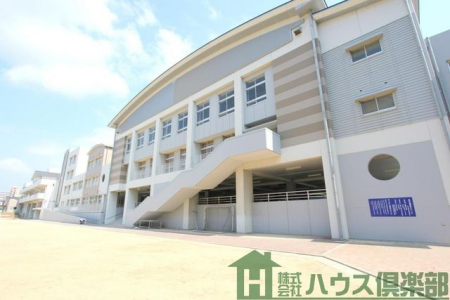 ӊ@kBs蒆wZ k11B 810m