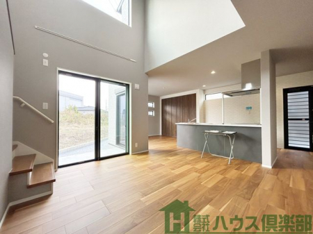 ���r���O�@���������̂���_�[�N�u���E���̏��ނ��������ł����������ł��B