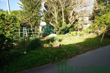 ���n�y�n�ʐ^�@-