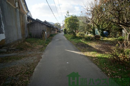 ���n�y�n�ʐ^�@-