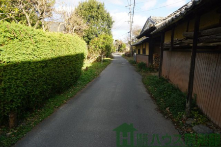 ���n�y�n�ʐ^�@-