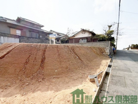 ���n�y�n�ʐ^�@-