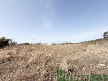 ���n�y�n�ʐ^�@�O��