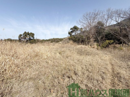 ���n�y�n�ʐ^�@�O��