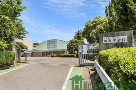 ���̑��@���������������w�Z�܂�2240��