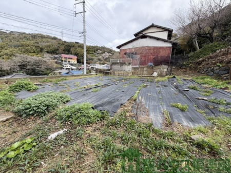 ���n�y�n�ʐ^�@��X�O�؂̓y�n�I