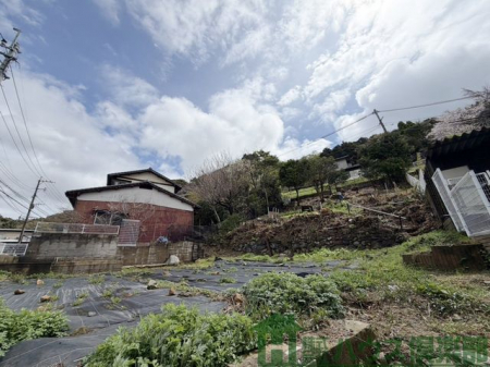 ���n�y�n�ʐ^�@�y�n�ʐ^