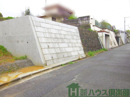 ���n�y�n�ʐ^�@-