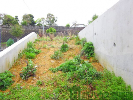 ���n�y�n�ʐ^�@-