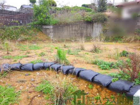 ���n�y�n�ʐ^�@-