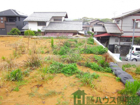 ���n�y�n�ʐ^�@-